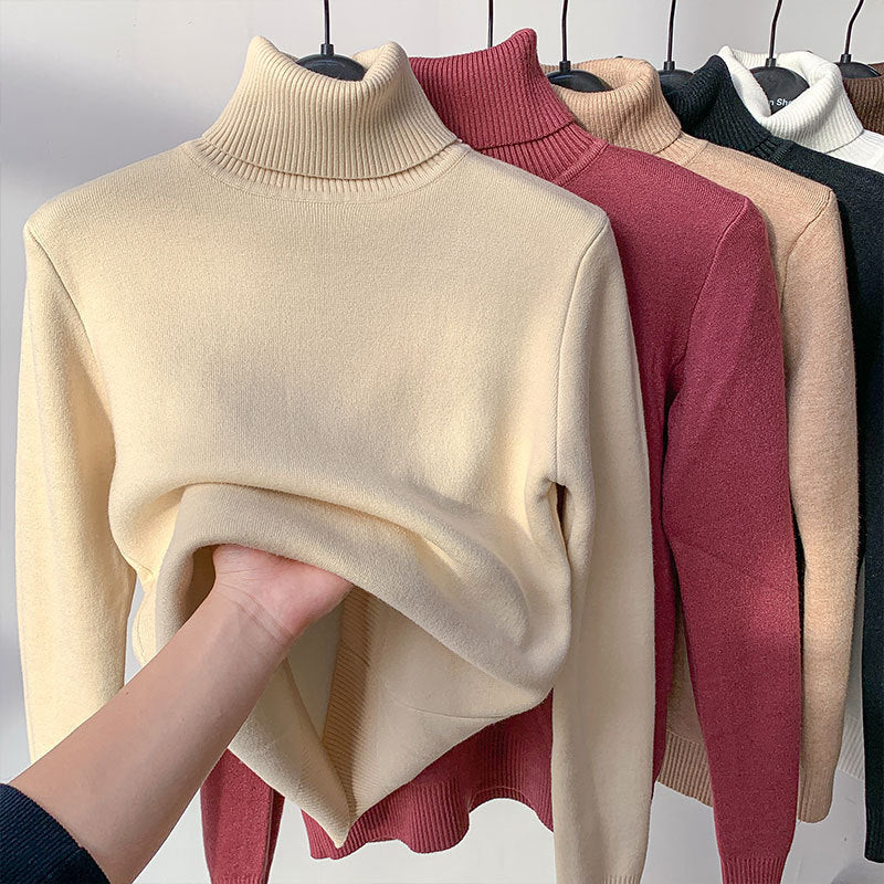 Turtle Neck Sweater