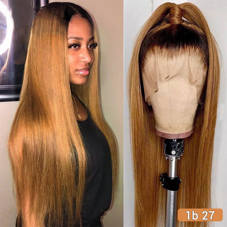 Long Straight Hair Wine Red Wig