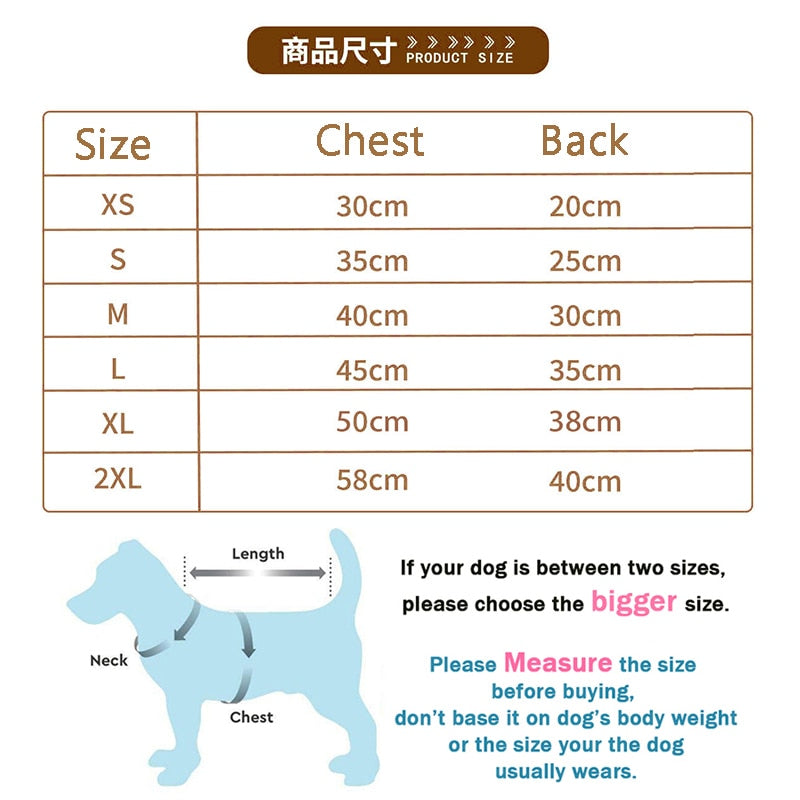 Bear Pet Vest