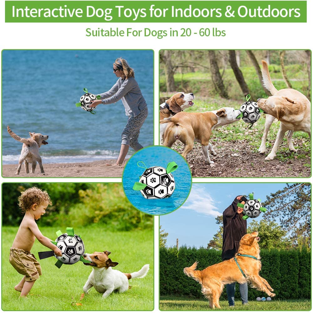 Pet Football Toy