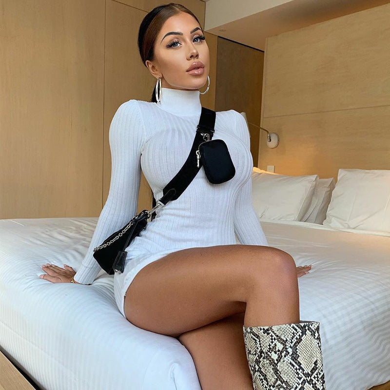 Victoria Ribbed Turtleneck Dress