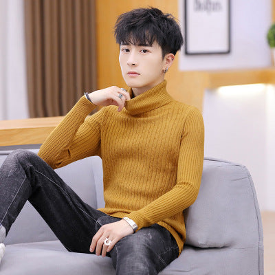 Turtle Neck