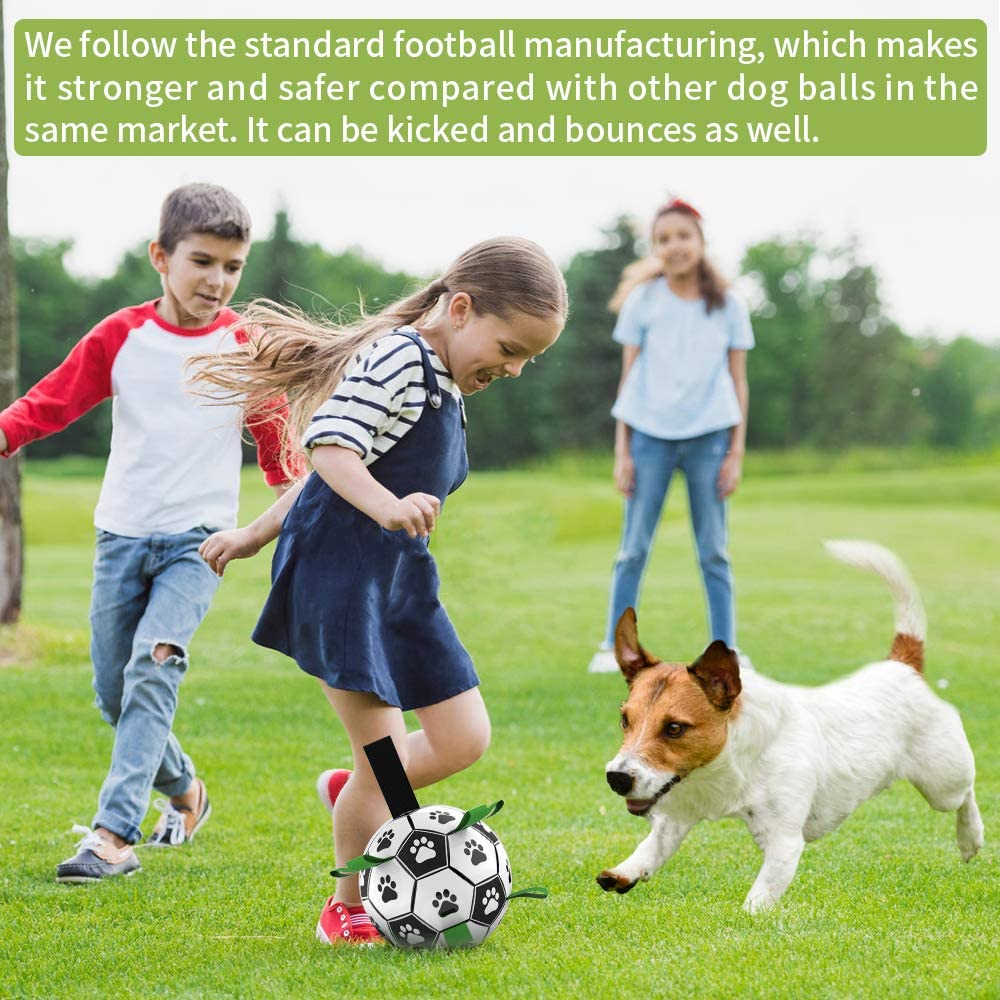 Pet Football Toy