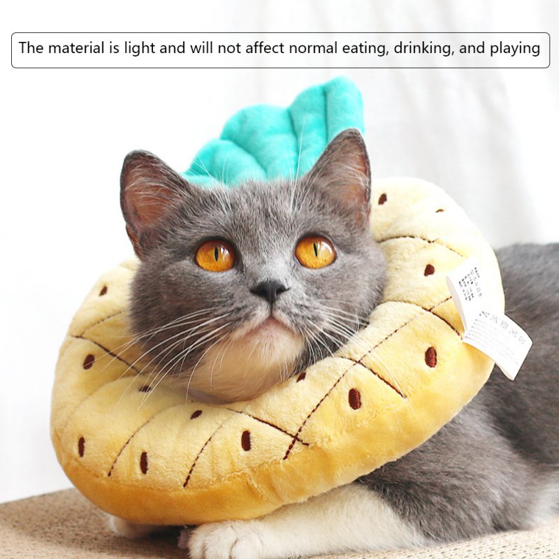 Fruit Shaped Recovery Pet Collar