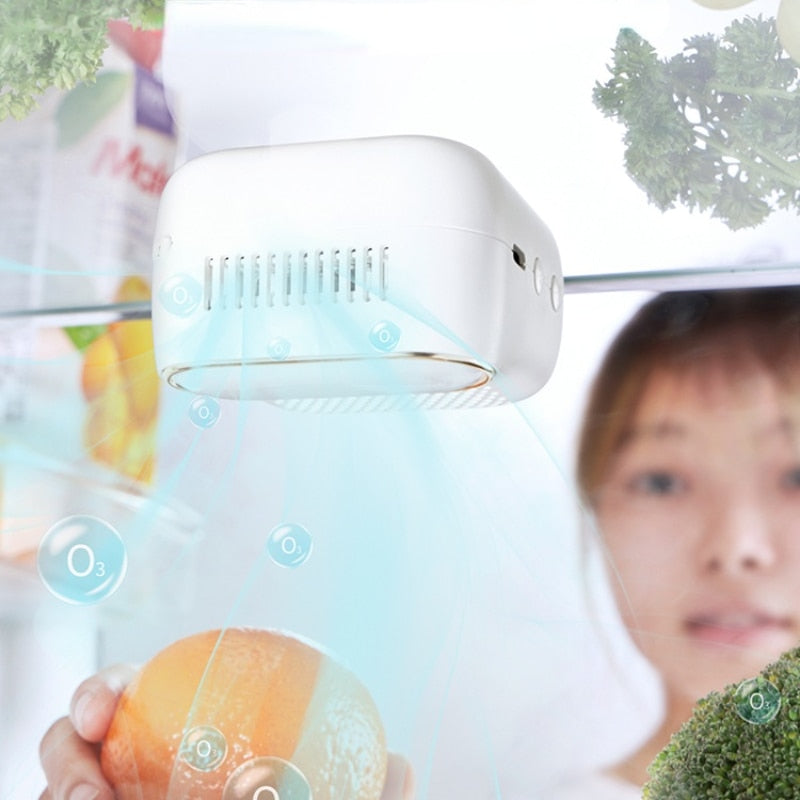 Household/Refrigerator Air Purifier