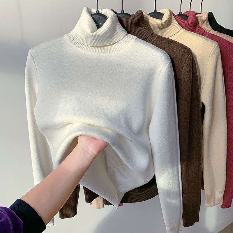 Turtle Neck Sweater