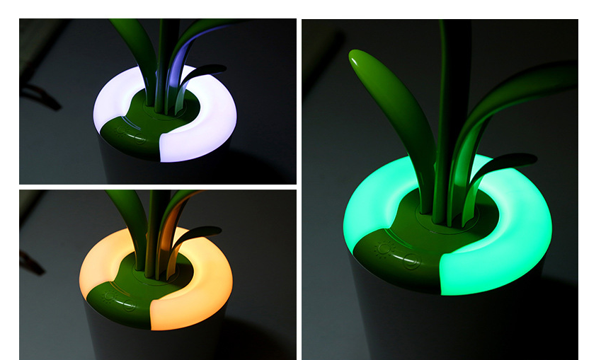 Modern Desk Lights LED Table Lamp