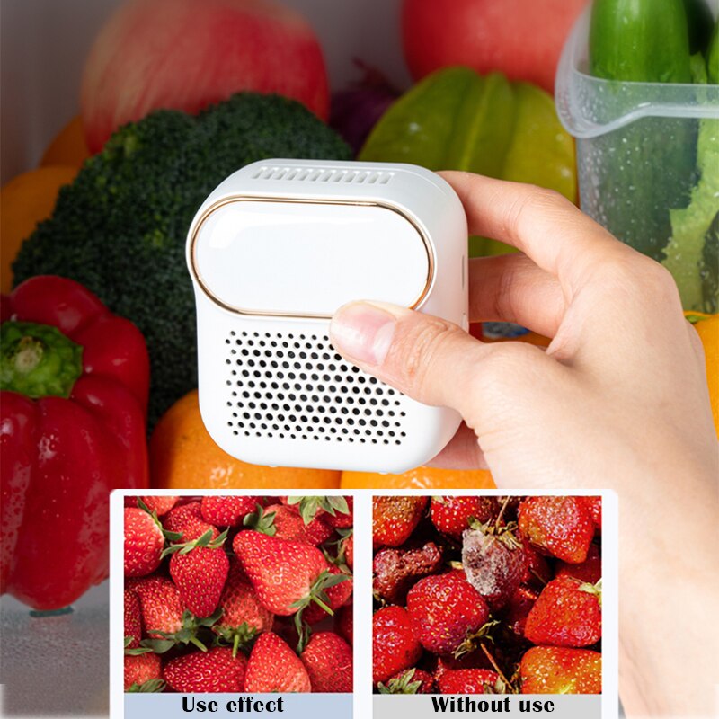 Household/Refrigerator Air Purifier