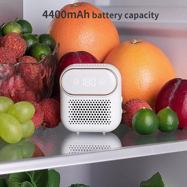 Household/Refrigerator Air Purifier