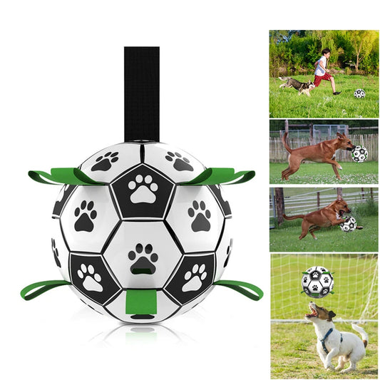 Pet Football Toy
