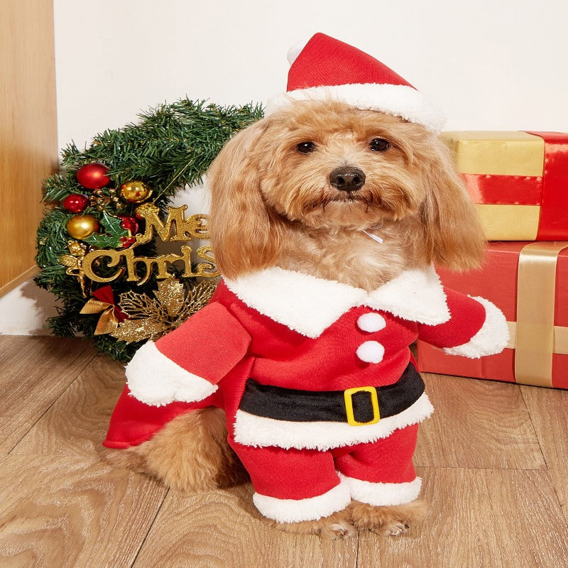 Christmas Small Dog Costume